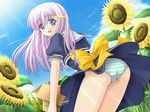  blue_eyes blush box cloud day flower game_cg kikuchi_seiji konoe_nanami lamune long_hair panties purple_hair ribbon sky solo striped striped_panties sunflower underwear upskirt wind 