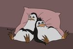  2013 animated avian bird duo eyes_closed happy kowalski madagascar male one_eye_closed onlyforpom penguin pillow rico sleeping smile tagme 