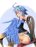  :p ahoge blue_hair blue_wings chair crossed_legs feathered_wings feathers harpy highres monster_girl monster_musume_no_iru_nichijou navel papi_(monster_musume) scales shiny shiny_skin short_shorts shorts sitting smile solo table tongue tongue_out uno_ryoku wings yellow_eyes 