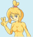  :3 animal_crossing blonde_hair blush breasts canine digital_media_(artwork) dog female fur hair isabelle_(animal_crossing) low_res mammal mawiies nintendo nipples nude pixel_(artwork) solo v_sign video_games yellow_fur 