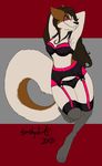  anthro breasts brown_fur canine clothed clothing female fox fur hair invalid_tag legwear lingerie long_hair lying mammal on_back partially_clothed purple_eyes solo stockings tanithjackal vixen_skye 