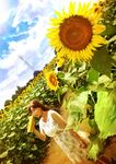  blue_sky brown_hair canister cloud collarbone day dress dutch_angle field floral_print flower flower_field grass light_particles long_hair looking_at_viewer mahiro_(mahiroht) original outdoors path road scenery shiny shiny_hair sky solo standing summer sundress sunflower sunlight transmission_tower tree 