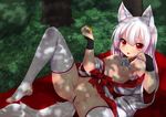  albino animal_ears bell bell_collar blanket breasts bridal_gauntlets censored collar dappled_sunlight forest fox_ears fox_tail japanese_clothes kimono long_hair looking_at_viewer lying nature nipples nude on_back open_clothes open_kimono original pussy red_eyes sash silver_hair small_breasts solo spread_legs sunlight tail thighhighs tongue tongue_out white_hair white_legwear wolflong 