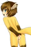  anus balls blue_eyes catfuk_(artist) fur hair happy looking_at_viewer male multicolored_fur naughty_face open_mouth short_hair simple_background solo tagme white_background 
