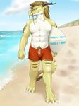  2015 abs anthro athletic beach blue_eyes body_hair bulge claws clothed clothing digitigrade dragon facial_hair front_view half-dressed happy_trail horn kaynine male navel outside scales scalie seaside serith solo standing swimming_trunks swimsuit toe_claws topless yellow_scales 