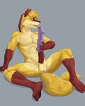  2015 anthro balls canine dedran dildo erection fur grey_background kaynine licking looking_at_viewer male mammal markings multicolored_fur navel nude penis red_penis sex_toy simple_background sitting socks_(marking) solo spread_legs spreading suggestive tongue tongue_out two_tone_fur wolf yellow_fur 