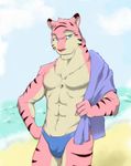  2010 abs anthro athletic beach blue_eyes bulge clothing feline fur gingertom84 kaynine looking_at_viewer male mammal multicolored_fur navel outside pecs pink_fur red_nose seaside solo speedo standing striped_fur stripes swimsuit tiger towel two_tone_fur 