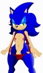  anthro big_nipples breasts butt clothing damian_hodge erect_nipples flaccid girly hedgehog huge_hips hyper male mammal nipples nude penis presenting small_breasts solo sonic_(series) sonic_the_hedgehog uncut wide_hips 