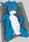  anthro balls digimon erection front_view humanoid_penis kneeling leaning leaning_back looking_at_viewer male naughty_face navel nude penis purple_eyes retracted_foreskin scalie simple_background solo spread_legs spreading stripes-the-raccoon uncut veemon 