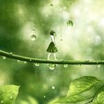  bad_id bad_pixiv_id barefoot black_hair blurry depth_of_field dew_drop green kazami_(kuroro) leaf minigirl muted_color necktie original pale_skin plant profile school_uniform short_hair solo walking water water_drop 