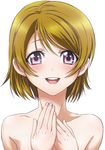  :d bangs blush brown_hair hands_on_own_chest koizumi_hanayo love_live! love_live!_school_idol_project nanno_koto nude open_mouth purple_eyes short_hair smile solo swept_bangs upper_body 