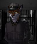  anthro brown_fur brown_hair canine clothed clothing dimikendal101 fox fur hair half-closed_eyes hands_behind_back hat inner_ear_fluff inside male mammal nazi smile solo 