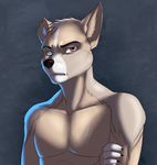  anthro canine dimikendal101 half-closed_eyes inner_ear_fluff looking_at_viewer male mammal notched_ear nude simple_background solo 