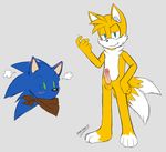  anthro blush canine fox imminent_sex male male/male mammal miles_prower penis sonic_(series) sonic_the_hedgehog sonicwind01 video_games 
