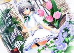  3d blue_eyes braid dutch_angle flower izayoi_sakuya kurogoma_(meganegurasan) looking_at_viewer maid_headdress mikumikudance plant potted_plant short_hair side_braid silver_hair solo thigh_strap touhou tulip twin_braids wrist_cuffs 