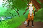  axe balls canine forest fox mammal melee_weapon nude red_fox sheath solo tree tsaiwolf weapon werefox 
