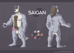  canine fur grey_fur kerun male mammal model_sheet nude saigan solo standing were werewolf wolf 