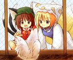  all_fours animal_ears bird blonde_hair blue_eyes brown_eyes brown_hair cat_ears chen chicken drooling eijima_moko fox_tail hat multiple_girls multiple_tails short_hair tail touhou yakumo_ran 