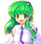  blush breasts commentary_request detached_sleeves ebizome frog green_eyes green_hair hair_ornament kochiya_sanae large_breasts long_hair smile snake solo touhou 