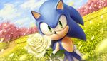  1boy anthro black_nose clothing detailed first_person_view flower furry gloves green_eyes hedgehog male mammal outside plant pov sega smile solo sonic sonic_(series) sonic_the_hedgehog unknown_artist video_games wet 