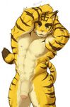  blue_eyes bulge clothing feline flaccid fur humanoid_penis looking_at_viewer mammal morenatsu muscular nun6 partially_retracted_foreskin penis simple_background speedo standing swimsuit tiger torahiko_(morenatsu) uncut yellow_fur 