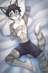  2015 bed black_hair blue_eyes boxers_(clothing) cat clothed clothing cute edgar_(iskra) feline fur grey_fur hair half-dressed hand_behind_head iskra lying male mammal multicolored_fur navel on_back pillow pink_nose smile solo striped_fur stripes topless underwear white_fur 