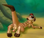  anthro anus backsack balls blueballs disney erection grin humanoid_penis leaning_on_elbow looking_at_viewer looking_back lying male mammal meerkat mongoose nude on_front outside penis penis_backwards presenting raised_tail rear_view retracted_foreskin solo the_lion_king timon uncut 