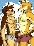  abs anthro blush canine censored clothing colored duo erection fox fur male male/male mammal maririn muscular pecs penis precum sex simple_background speedo sweat swimsuit wolf 