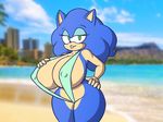  2015 anthro big_breasts breasts cleavage clothed clothing crossgender erect_nipples female hedgehog huge_breasts looking_at_viewer mammal nipple_bulge nipples skimpy smile solo sonic_(series) sonic_the_hedgehog stunnerpony swimsuit 