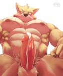 abs canine male mammal muscular muscular_male nipples o-ro pecs penis 