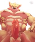  abs canine male mammal muscular muscular_male nipples o-ro pecs penis 