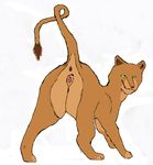  anus darconium feline female feral lion mammal mila presenting presenting_pussy pussy raised_tail simple_background solo 