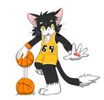  action_pose anthro barefoot basketball cat clothing dribbling feline front_view jersey kay_(whiteleo) male mammal shorts solo standing sweat whiskers whiteleo young 