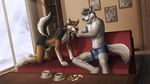  all_fours beverage briefs bulge canine clothing coffee dream_and_nightmare feeding food gothwolf hi_res jackal male male/male mammal sitting smile snow tehjackal underwear wolf 