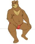  anthro bear blush clothing hi_res horrorbuns juuichi_mikazuki looking_at_viewer male mammal morenatsu musclegut muscular simple_background solo speedo swimsuit white_background 