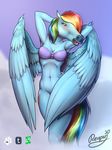 2015 anthro breasts clothed clothing cutie_mark equine female friendship_is_magic hair hi_res horse humor joke just_for_the_lulz mammal my_little_pony pegasus pony rainbow_dash_(mlp) reaper3d simple_background solo wings 