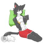  abs anthro boxer_briefs bulge cat clothed clothing feline half-dressed kay_(whiteleo) male mammal nintendo nintendo_ds palying_videogame pillow reclining signature sitting solo topless underwear video_games whiteleo 