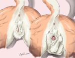  anthro anus bent_over brown_fur charr claws close-up coypowers faceless_female feline female fur guild_wars mammal nude pussy simple_background solo spreading video_games white_background 