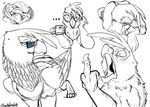  avian backlash91 bird doodles drawings feline femae friendship_is_magic gilda_(mlp) gryphon lion mammal my_little_pony sketch 