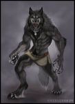  2009 4_toes action_pose angry anthro barefoot belt big_muscles black_fur canine chest_tuft clothed clothing collar cross detailed digital_media_(artwork) digitigrade fangs front_view full-length_portrait fur grey_fur half-dressed handpaw hi_res inkydemon light loincloth looking_at_viewer male mammal multicolored_fur muscular open_mouth pawpads paws pubes scar sharp_claws sharp_teeth simple_background standing teeth toes tongue topless tuft were werewolf white_eyes white_fur 