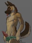  2015 amara_telgemeier animal_genitalia anthro briefs brown_fur canine canine_penis clothed clothing dog fur german_shepherd half-dressed knot male mammal penis solo tongue tongue_out topless underwear yellow_eyes 