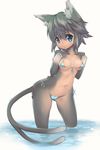  :o animal_ears bare_shoulders bikini blue_bikini blue_eyes breasts cat_ears cat_tail collarbone contrapposto dark_skin front-tie_top furry grey_hair groin hand_on_own_chest highres hobby_(kento) leaning_forward looking_at_viewer micro_bikini midriff multiple_tails navel nekomata original short_hair side-tie_bikini simple_background small_breasts solo standing stomach swimsuit tail two_tails wading water white_background 