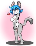  &lt;3 2018 3_toes 4_fingers alternate_species anthro areola biped black_eyebrows black_nose blue_hair breasts chinchilla chu_(duckdraw) dickgirl duckdraw eyebrows eyelashes full-length_portrait fur gradient_background grey_ears grey_fur grey_tail hair humanoid_penis intersex looking_at_viewer mammal multicolored_fur nipples nude penis pigtails pink_areola pink_background pink_nipples pink_penis portrait rodent short_hair simple_background smile solo standing teeth toes two_tone_ears two_tone_fur two_tone_tail white_fur 