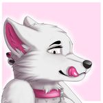  anthro canine collar crescent0100 female fur half-closed_eyes inner_ear_fluff mammal simple_background smile solo tongue tongue_out white_fur wolf 