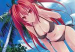  absurdres bikini breasts cleavage day hanging_breasts highres huge_filesize large_breasts long_hair naruse_mio palm_tree red_hair shinmai_maou_no_testament sky smile solo swimsuit tree twintails wet 