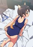  adjusting_clothes adjusting_swimsuit all_fours animal_ears bad_id bad_pixiv_id barefoot bed brown_eyes brown_hair cat_ears cat_tail clothes_on_floor looking_back miyafuji_yoshika one-piece_swimsuit pillow school_swimsuit school_uniform short_hair solo strike_witches swimsuit tail tonbi world_witches_series 