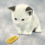  animal bad_id bad_pixiv_id blue_eyes cat cat_focus coin copyright_request kitten no_humans q-v_(levia) 