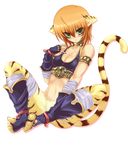  animal_ears bad_id bad_pixiv_id blush breath_of_fire breath_of_fire_ii brown_hair cat_ears green_eyes highres rinpoo_chuan sato_toshiya short_hair solo tail 