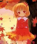  aki_shizuha autumn autumn_leaves bad_id bad_pixiv_id bangs blonde_hair buttons chaba_(hortensia) closed_mouth collared_shirt eyes_visible_through_hair frilled_shirt_collar frills gradient_skirt hair_ornament leaf leaf_hair_ornament long_sleeves looking_at_viewer maple_leaf red_eyes red_vest shirt short_hair skirt solo touhou tree vest white_shirt 