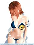  3d artist_request bikini bleach breasts crossover kon medium_breasts nami_(one_piece) one_piece orange_hair swimsuit tattoo 
